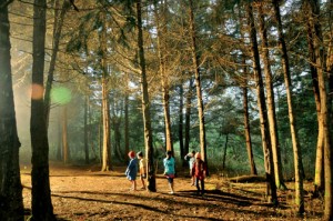 img_tn_movies1_may2012